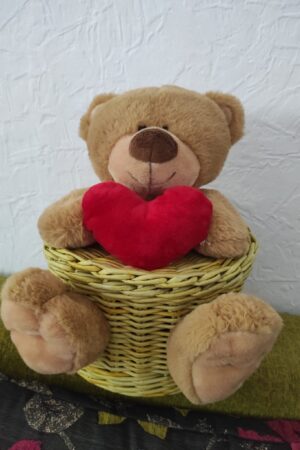 Méďa pro zamilované